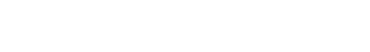 Blackrock logo white
